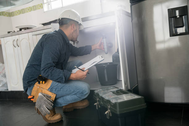 Best Clogged Drain Plumber  in Union City, MI